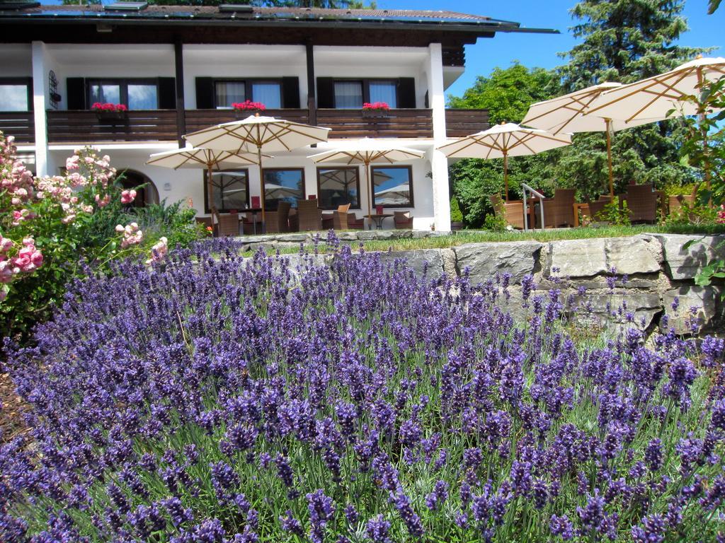 Seehof Apartments Walchensee Exterior photo